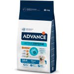 advance maxi adulto