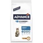 ADVANCE ADULT CHAT POULET