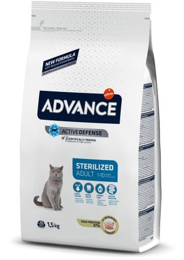 Chat stérilisé avancé Pérou