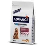 AVANCÉ MOYEN SENIOR