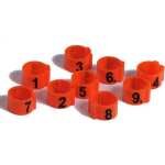 BAGUES DE PIGEON NUMÉROTÉES