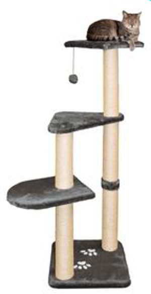 machine-à-gratter-altea MACHINE À GRATTER ALTEA – Image 1