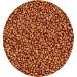 CAMELINA SATIVA DU MANITOBA 1 KG