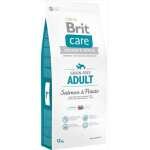 BRIT CARE SANS CÉRÉALES SAUMON ET POMMES DE TERRE 12 KG