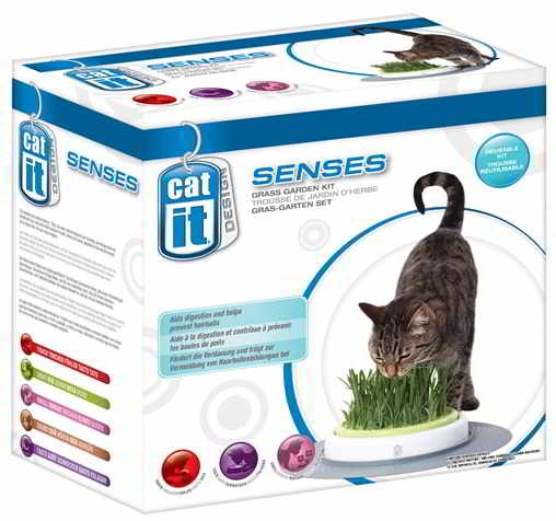 CAT IT SENSES - JARDIN D'HERBE