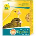 CÉDÉ PAPA CANARIES SÉCHERESSE