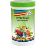 CHEMI-VIT NATURBIOTIC FORTE