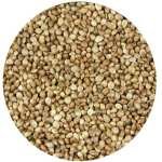 GRAINES DE CHANVRE 1 KG EN VRAC