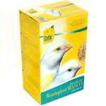 CÉDÉ PAPA ÉLEVAGE DE CANARIS BLANCS