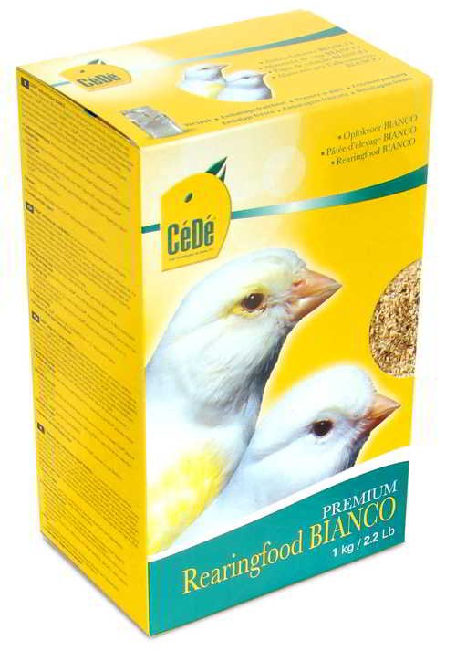 cédé-papa-élevage-de-canaris-blancs CÉDÉ PAPA ÉLEVAGE DE CANARIS BLANCS – Image 1