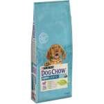 DOG CHOW CHIOT AGNEAU 14 KG