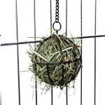 SPHÈRE ARMILLAIRE POUR LÉGUMES