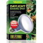 EXO TERRA LIEU DE PRÉLAVAGE À LA LUMIÈRE DU JOUR