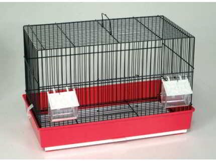 EXPO CAGE