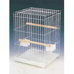 CAGE POUR CAFARDS ET COLOMBES