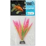 PLANTE GIGANAQUA 502 10 CM