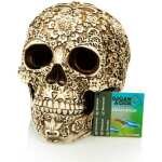 CRÂNE GIGANAQUA 18 CM