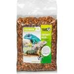 GIGANTERRA GIGAHUSK 10 L