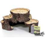 RACINES DE LA GROTTE DE GIGANTERRA L