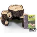 RACINES DE LA GROTTE DE GIGANTERRA S