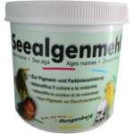 ALGUES DE HUNGENBERG