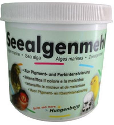 algues-de-hungenberg ALGUES DE HUNGENBERG – Image 1