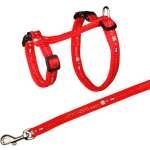 KIT COFFRE + LAISSE DE BD