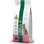 Chat adulte Balance Saumon