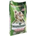 MANITOBA CARDELINO MAJOR