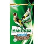 MANITOBA CARDUELIDI