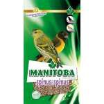 MANITOBA SPINUS & SPINUS