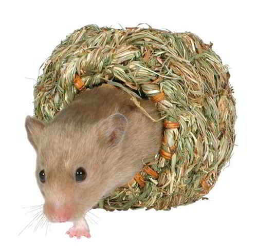 nid-de-foin-pour-hamsters NID DE FOIN POUR HAMSTERS – Image 1