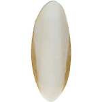 OS DE SEICHE NATUREL