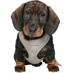 COFFRE SOUPLE AVEC LAISSE