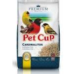 PET CUP CARDINALITOS PREMIUM