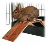 PONT EN BOIS POUR CAGE