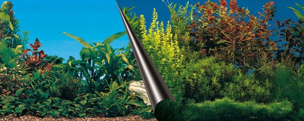 affiche-plantée AFFICHE PLANTÉE – Image 1