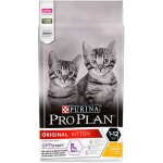 PRO PLAN ORIGINAL CHATON