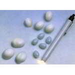 STYLO OVOSCOPE QUIKO