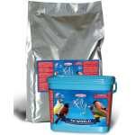 RAGGIO DI SOLE TH WORLD