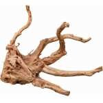 RACINE DE DOIGT POUR AQUARIUM