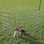 ENCLOS POUR CHIENS GALVANISÉ