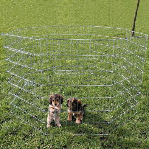 enclos-pour-chiens-galvanisé ENCLOS POUR CHIENS GALVANISÉ – Image 1