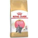 ROYAL CANIN CHATON BRITISH SHORTAIR 2 KG
