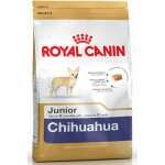 CHIOT CHIHUAHUA ROYAL CANIN