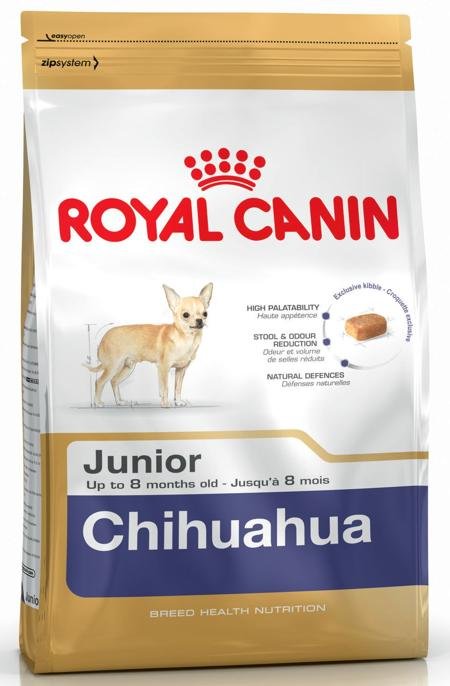 chiot-chihuahua-royal-canin CHIOT CHIHUAHUA ROYAL CANIN – Image 1