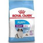 CHIOT GÉANT ROYAL CANIN