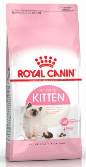 chaton-royal-canin CHATON ROYAL CANIN – Image 1