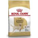 ROYAL CANIN LABRADOR