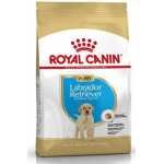 CHIOT LABRADOR ROYAL CANIN